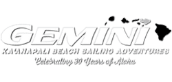 Gemini Sailing – logo